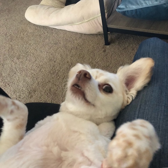 Meet your Posher: Sophie - Picture 7 of 7